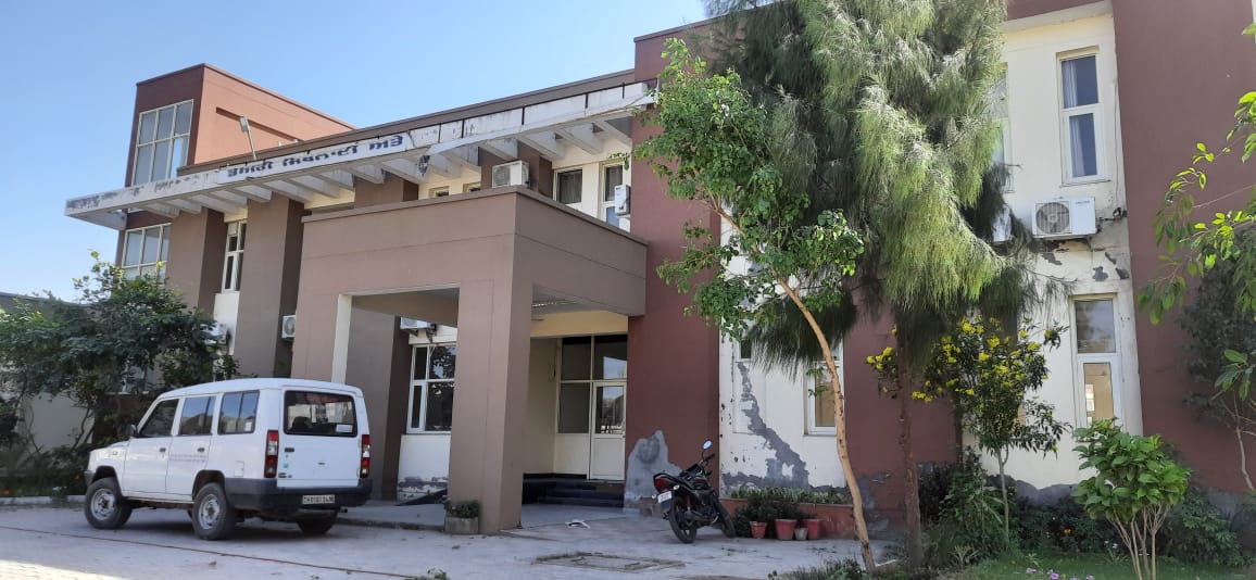 PUNJAB DAIRY DEVELOPMENT BOARD PDDB PUNJAB